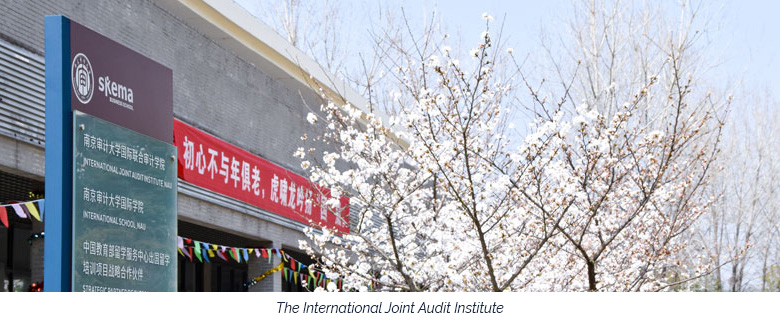 The International Joint Audit Institute