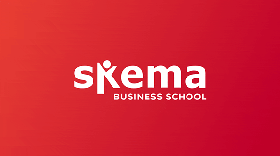 Explore SKEMA from a distance