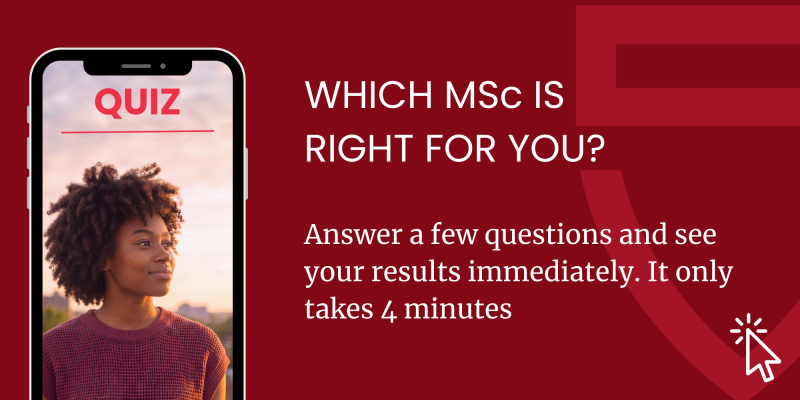 wich master for you quiz