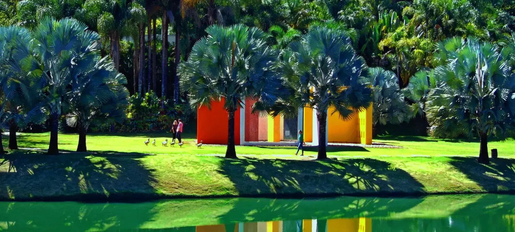 belo-horizonte-instituto-inhotim