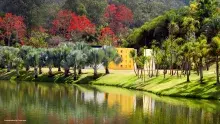 Instituto Inhotim