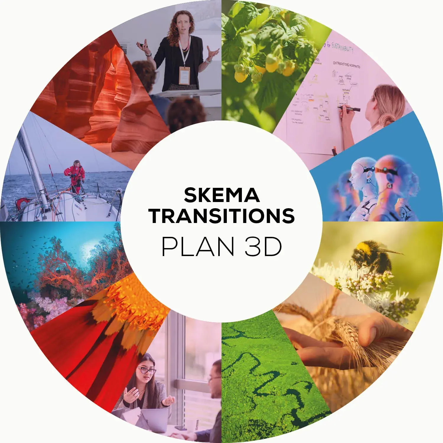 SKEMA Transitions - Plan 3D