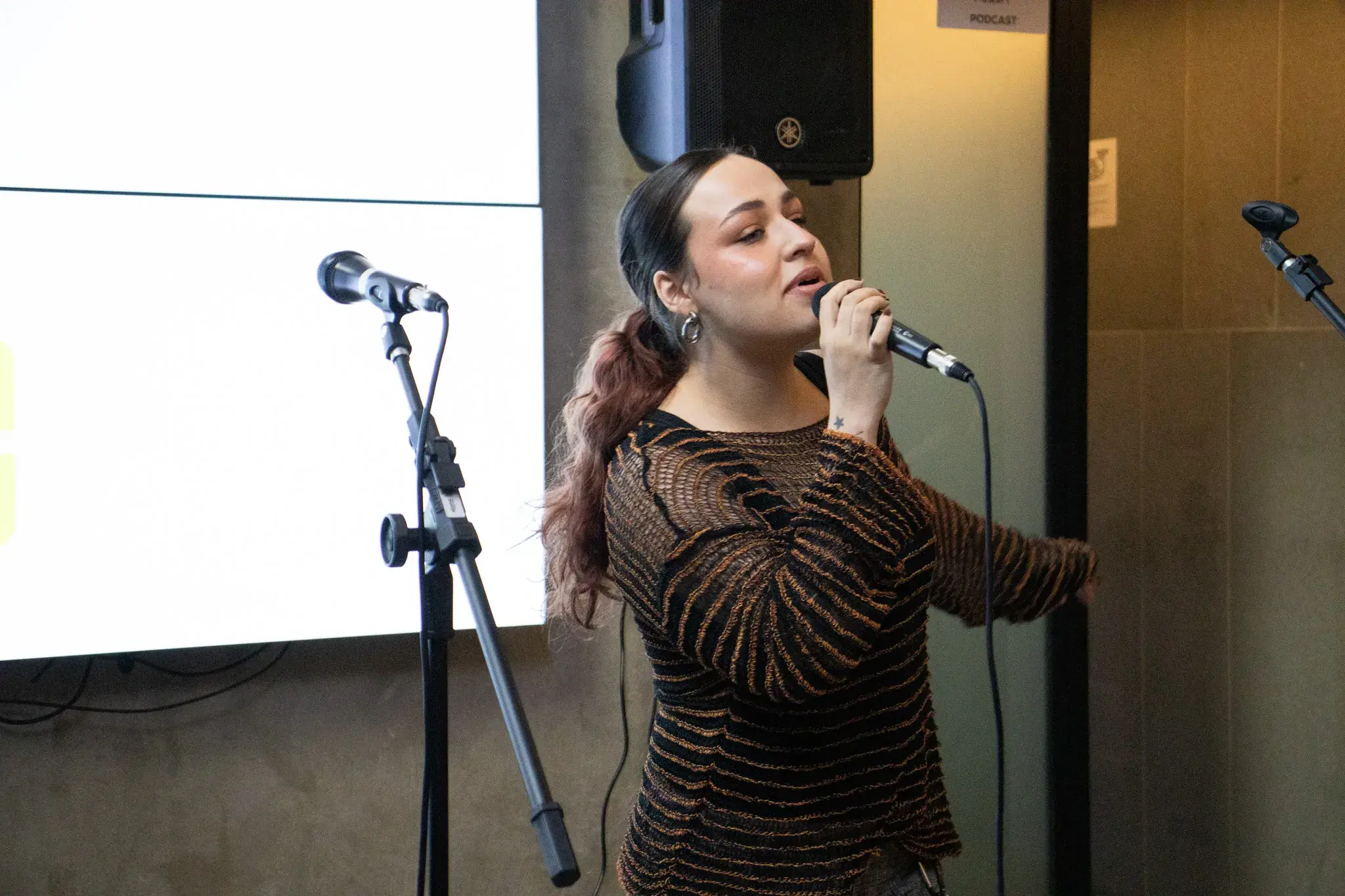Karaokê SKEMusic