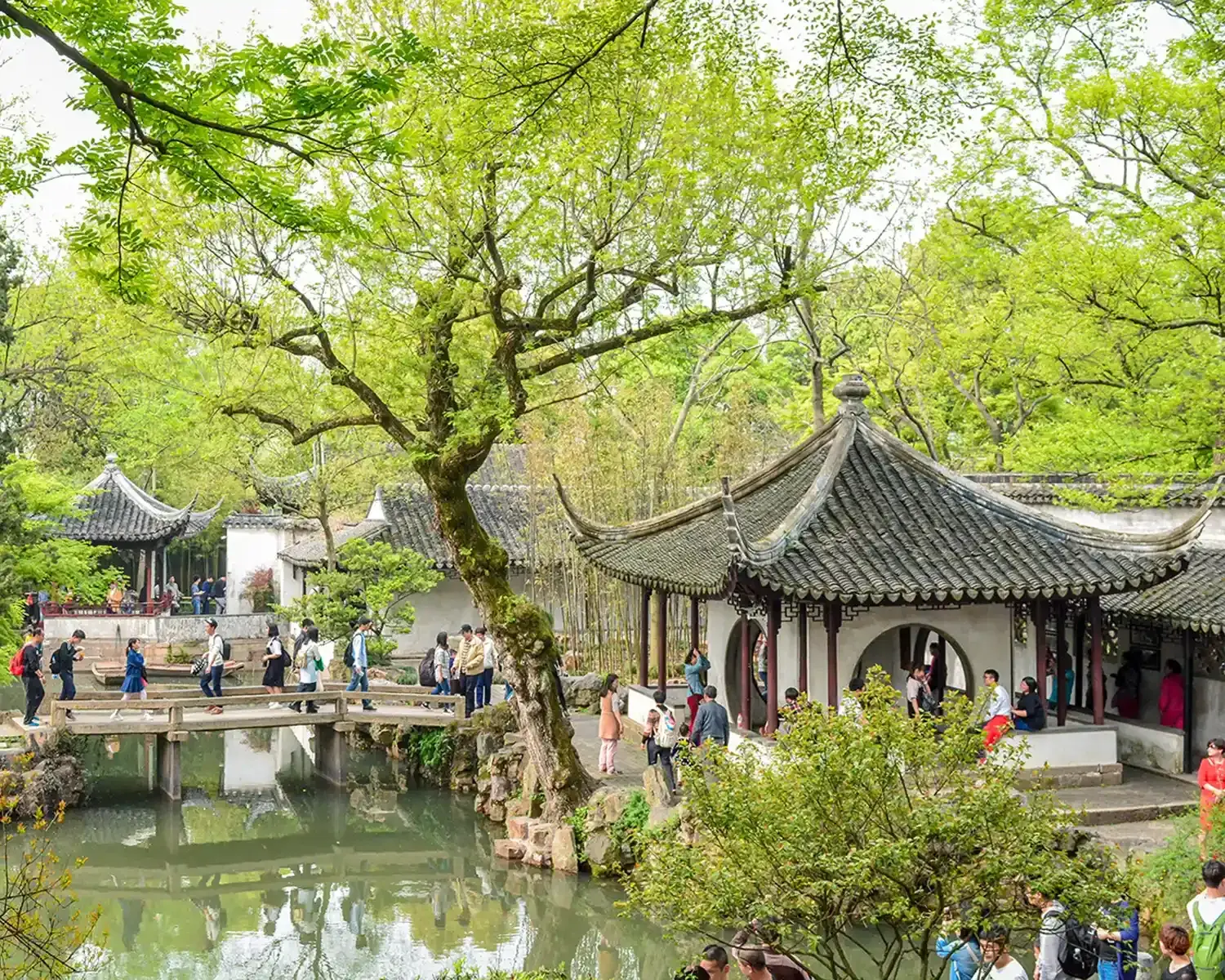 humble administrators garden Suzhou