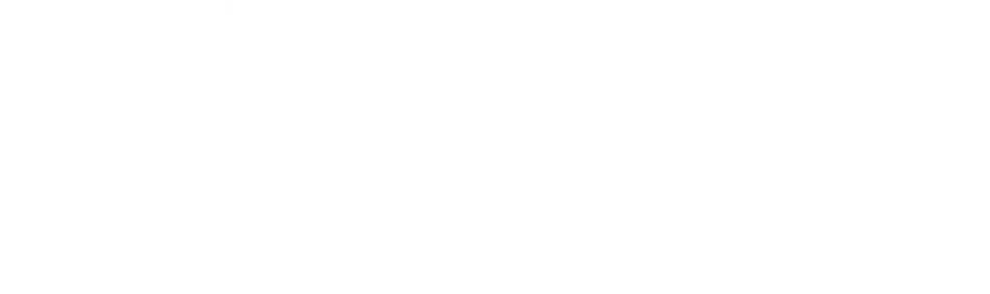 Skema Business School