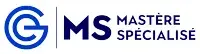logo cge mastère spécialisé
