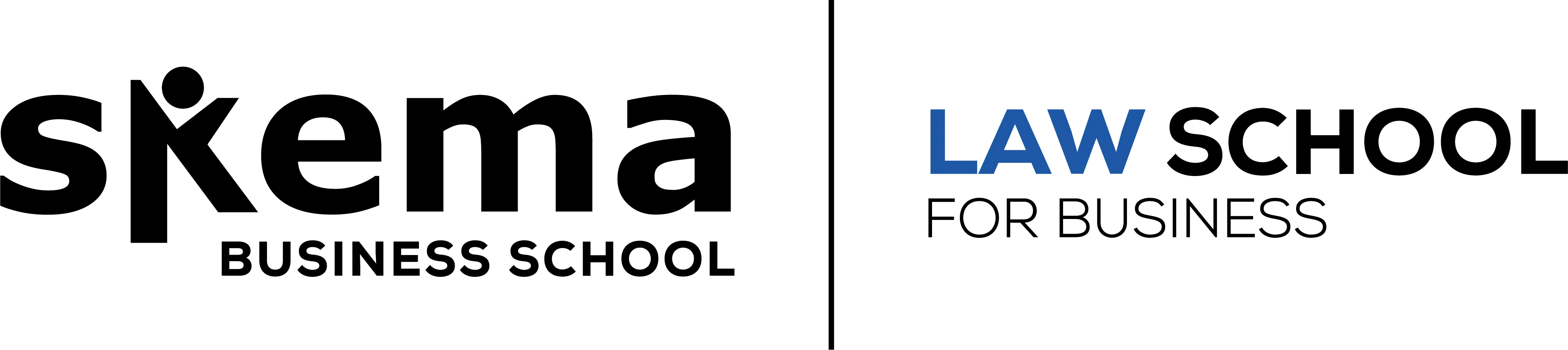 logo law school skema